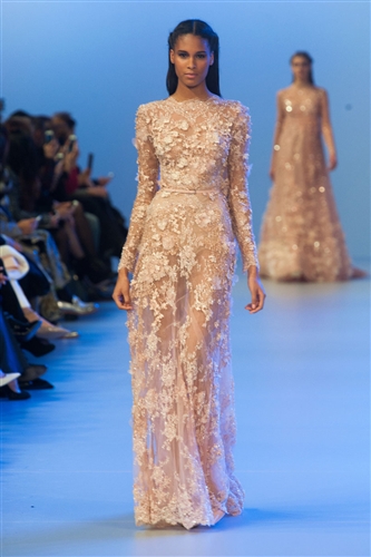 Elie Saab Haute Couture Spring Summer 2014 - Catwalk Yourself